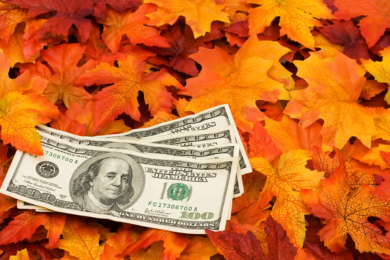 Four one hundred dollar bills sitting on a fall leaf background